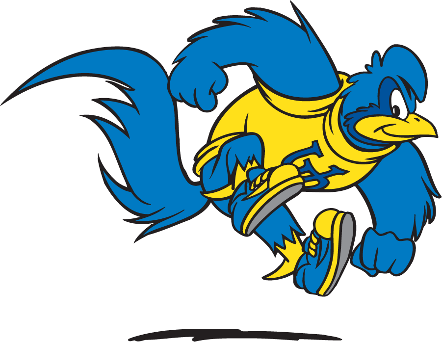 Delaware Blue Hens 1999-2009 Mascot Logo v5 diy iron on heat transfer